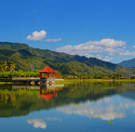 Alishan Oolong (Taiwan 台灣阿里山烏龍茶)